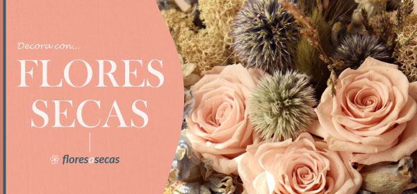 Flores secas decorativas para jarrones.